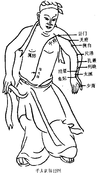 十四正经----肺经