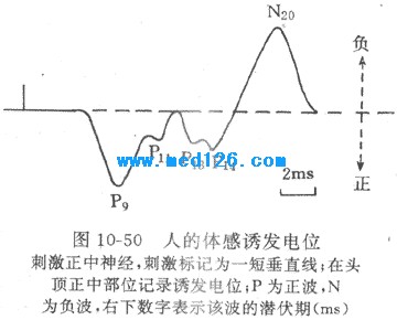 生理学脑的高级功能和脑电图:学习记忆大脑皮层语言中枢一侧优势脑电