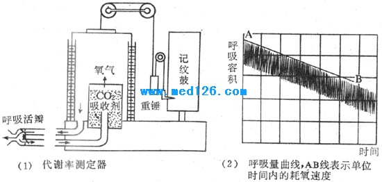 耗氧量的计算原理_包括可氧化的有机物与无机物,但因为水中可氧化的无机物一般较少,所以有