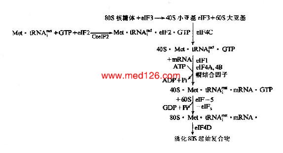 生物化学gdp_生物多样性绘画(2)