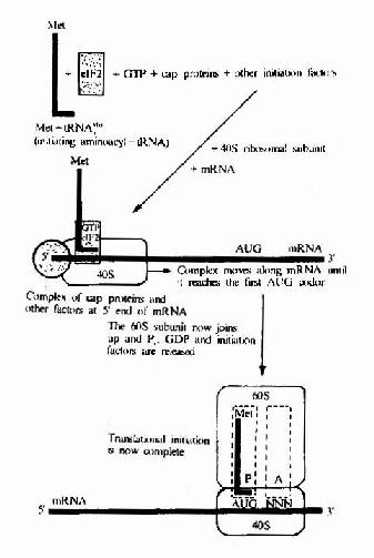 生化gdp_深化合作 互利共赢 GDP全球代表走进蒙牛交流学习